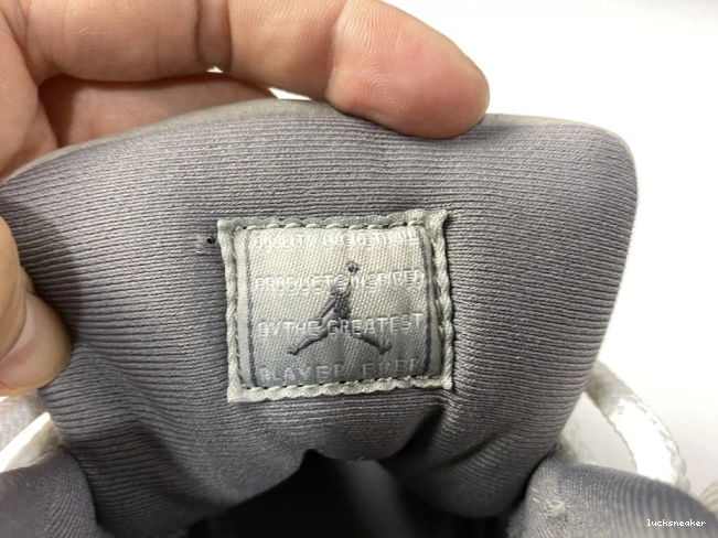 Rep LUCY Retro 'Cool Grey' 11 Jordan CT8012 005 Air 0809